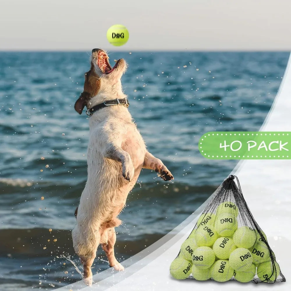 40 Pack Tennis Balls Dog Toys With Carry Bags For Fetch