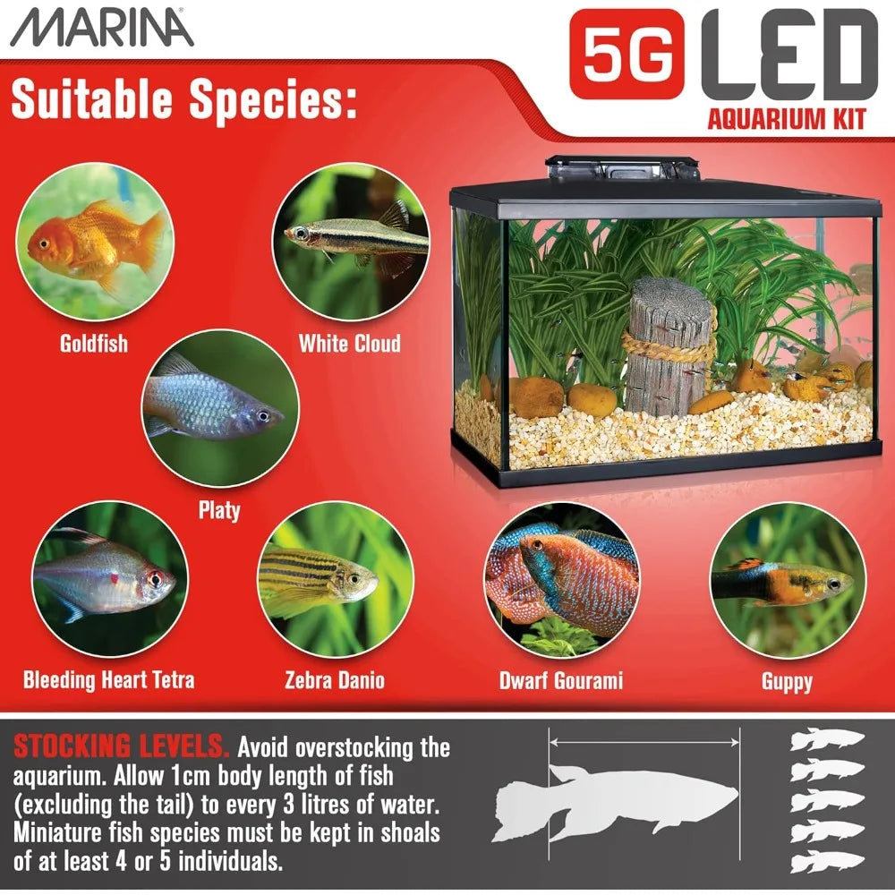 TIFICY Beginner LED Aquarium Kit for New Fish Enthusiasts