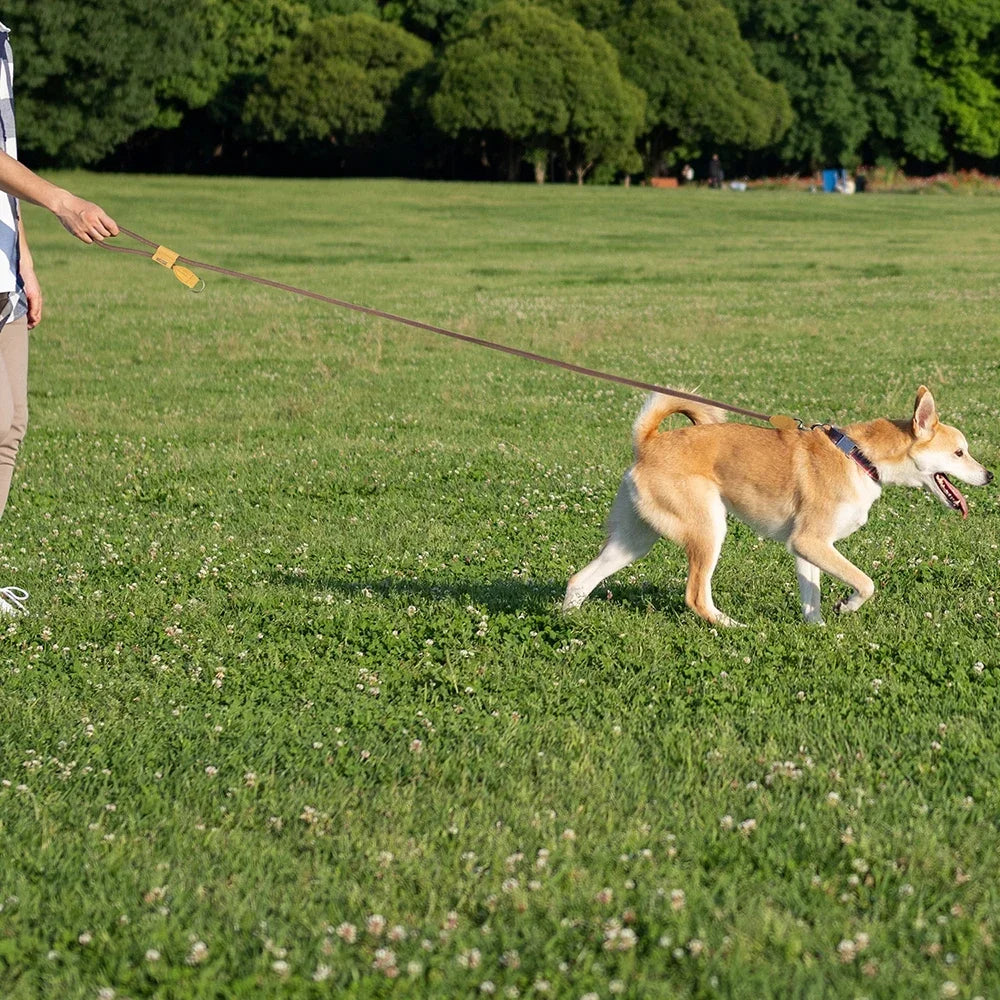 Hands Free Dog Leash for Running and Walking Comfortably