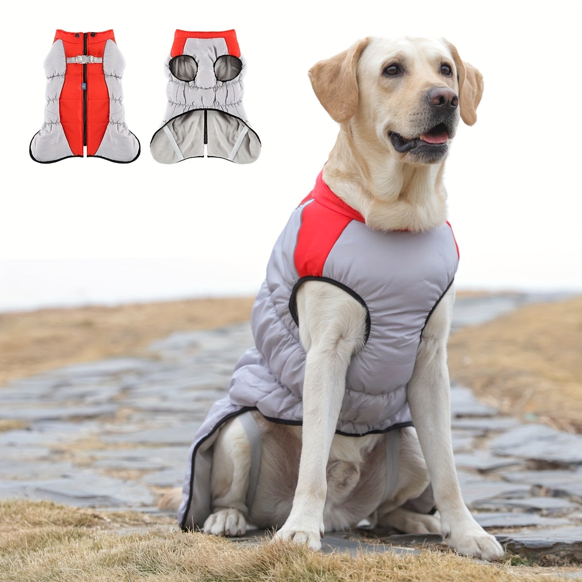 Windproof Dog Winter Jacket With Zipper Closure And Adjustable Strap