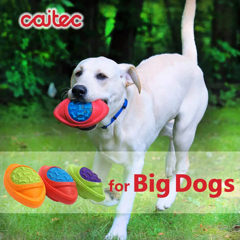 CAITEC Dog Football Toy Floatable Squeaky Outdoor Throwing