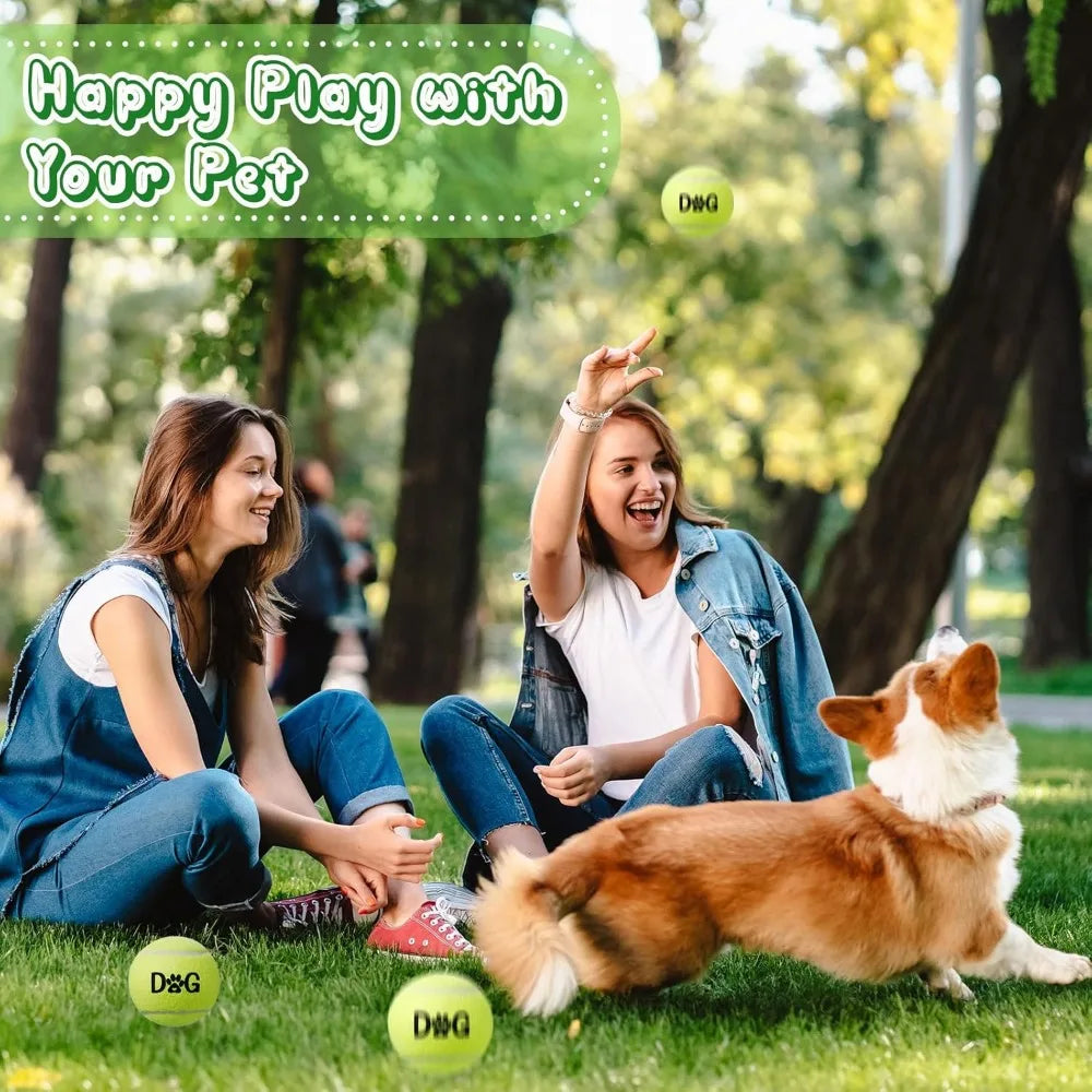 40 Pack Tennis Balls Dog Toys With Carry Bags For Fetch