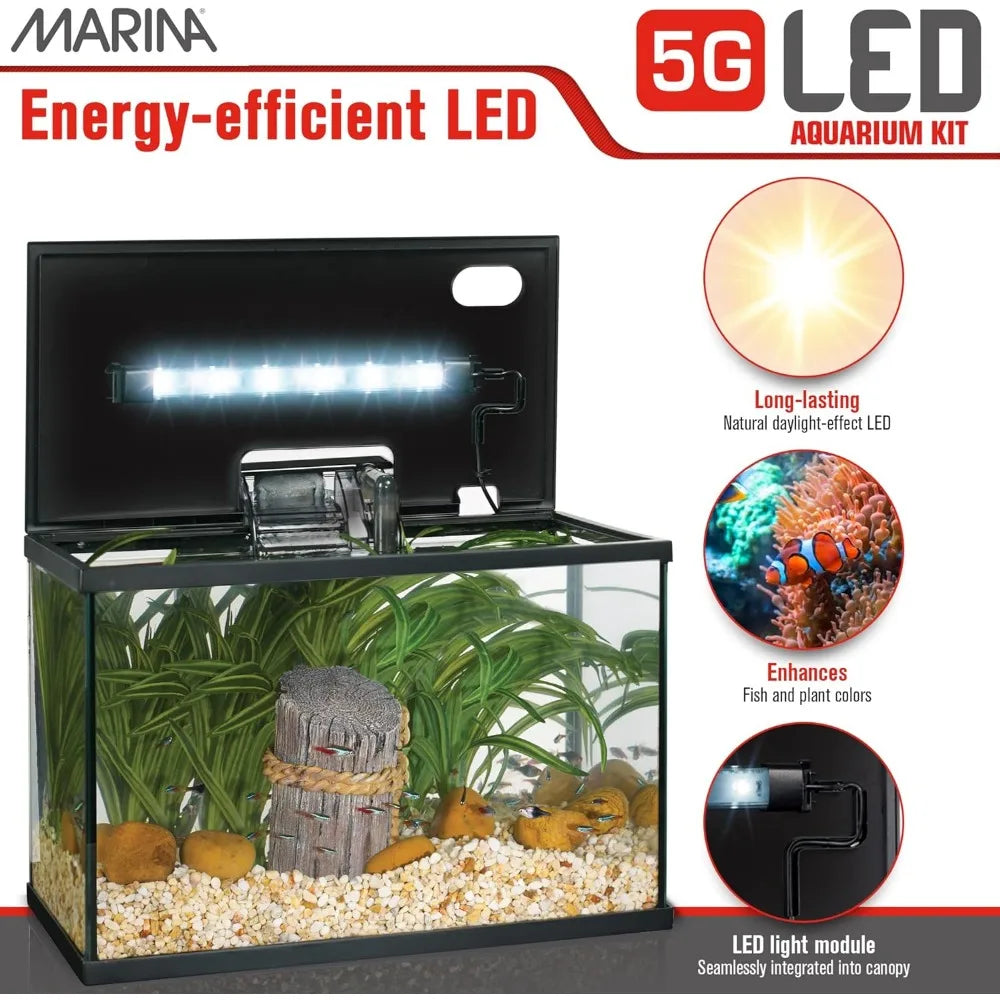TIFICY Beginner LED Aquarium Kit for New Fish Enthusiasts