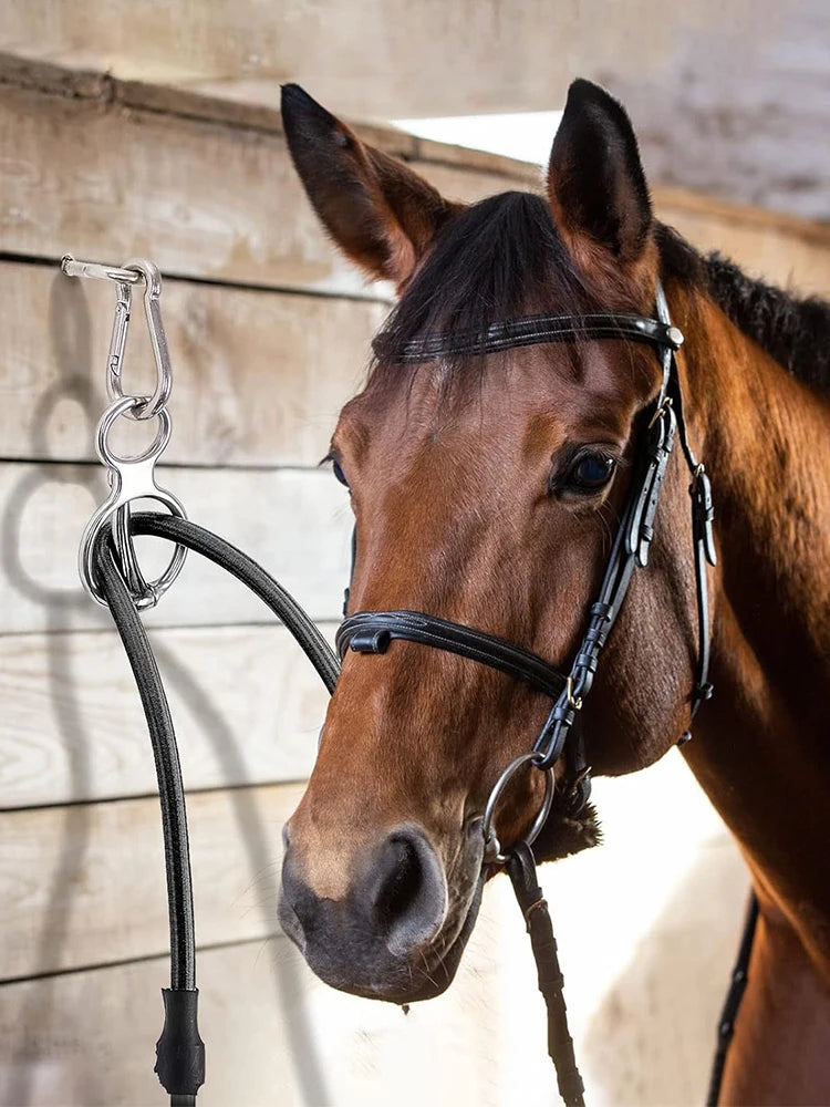 Hign Concerned Heavy Duty Horse Tie Ring Stainless Steel