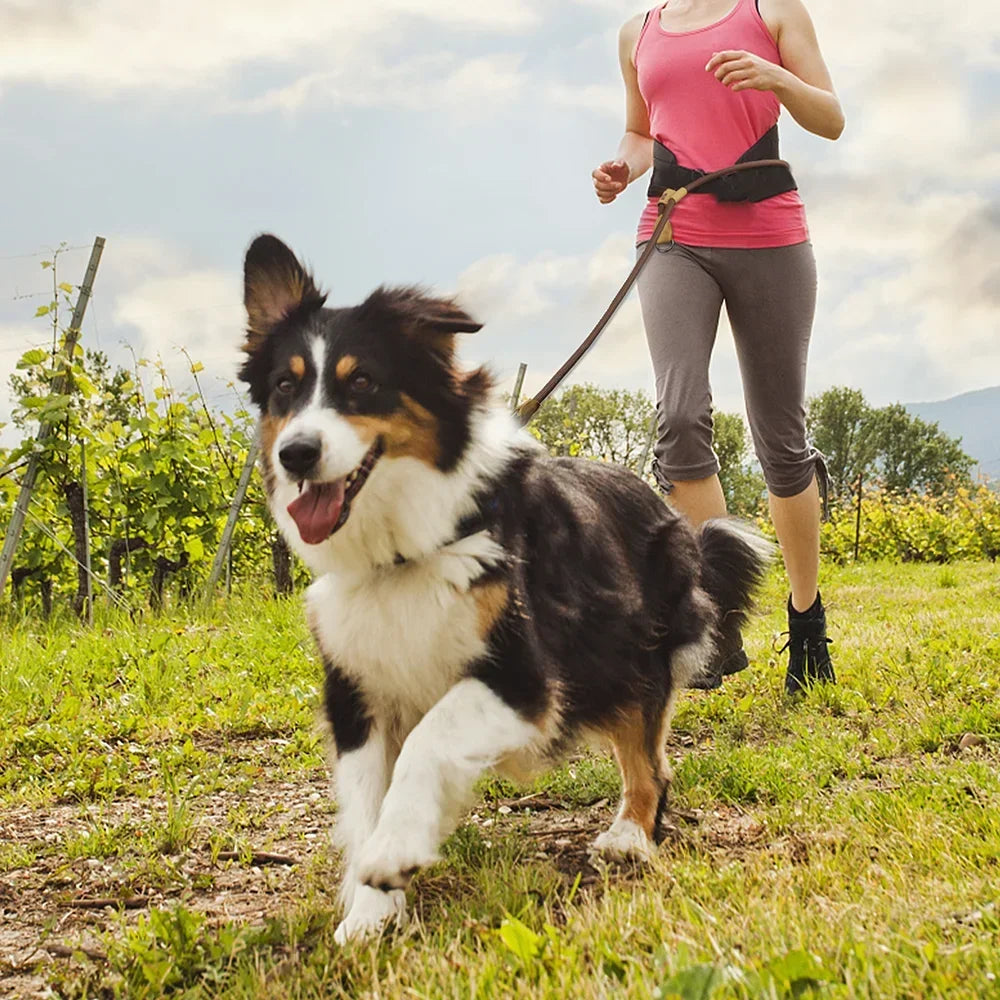 Hands Free Dog Leash for Running and Walking Comfortably