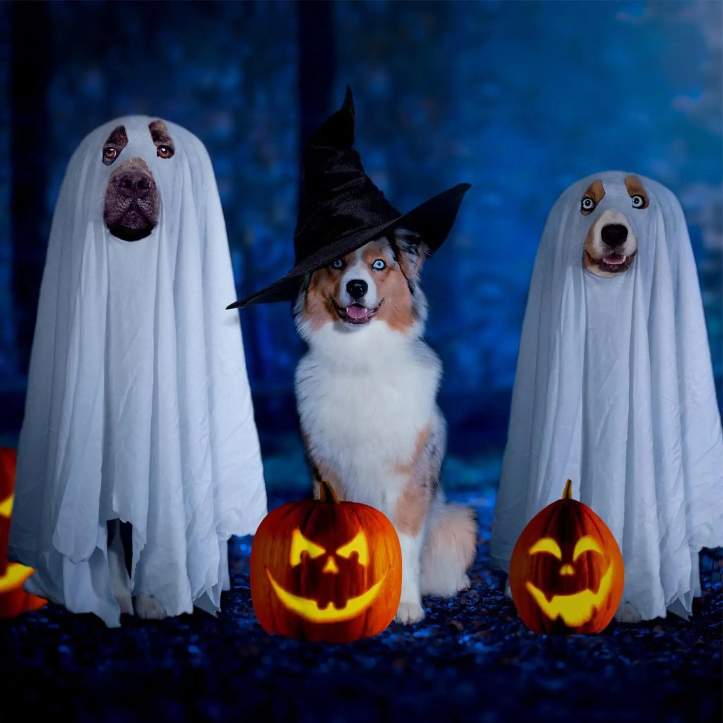Choice Dog Ghost Costume Halloween Cosplay For Pets Today