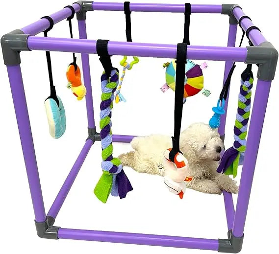 Hign Concerned Puppy Play Gym For Dogs With 8 Hanging Toys