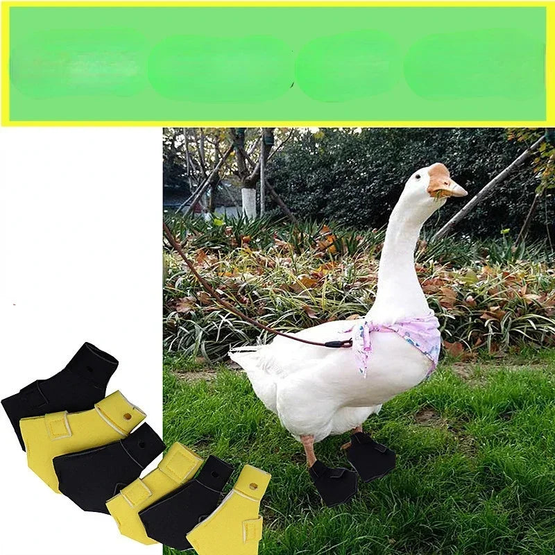 Hign-concerned Chemical Waterproof Duck Booties For Ducks
