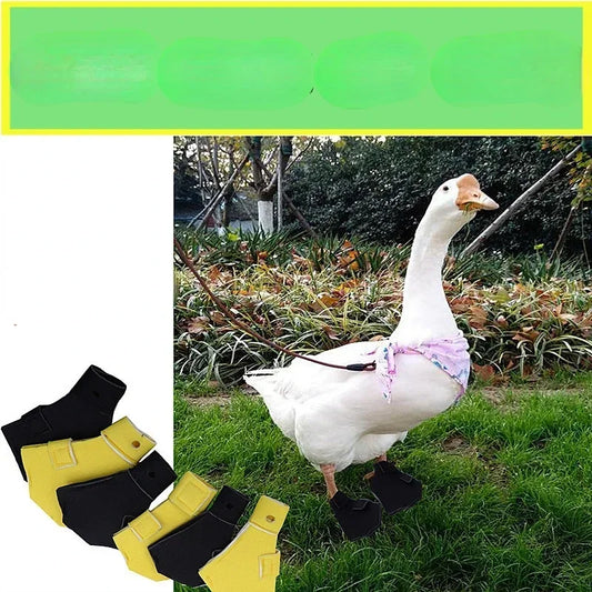 Hign-concerned Chemical Waterproof Duck Booties For Ducks