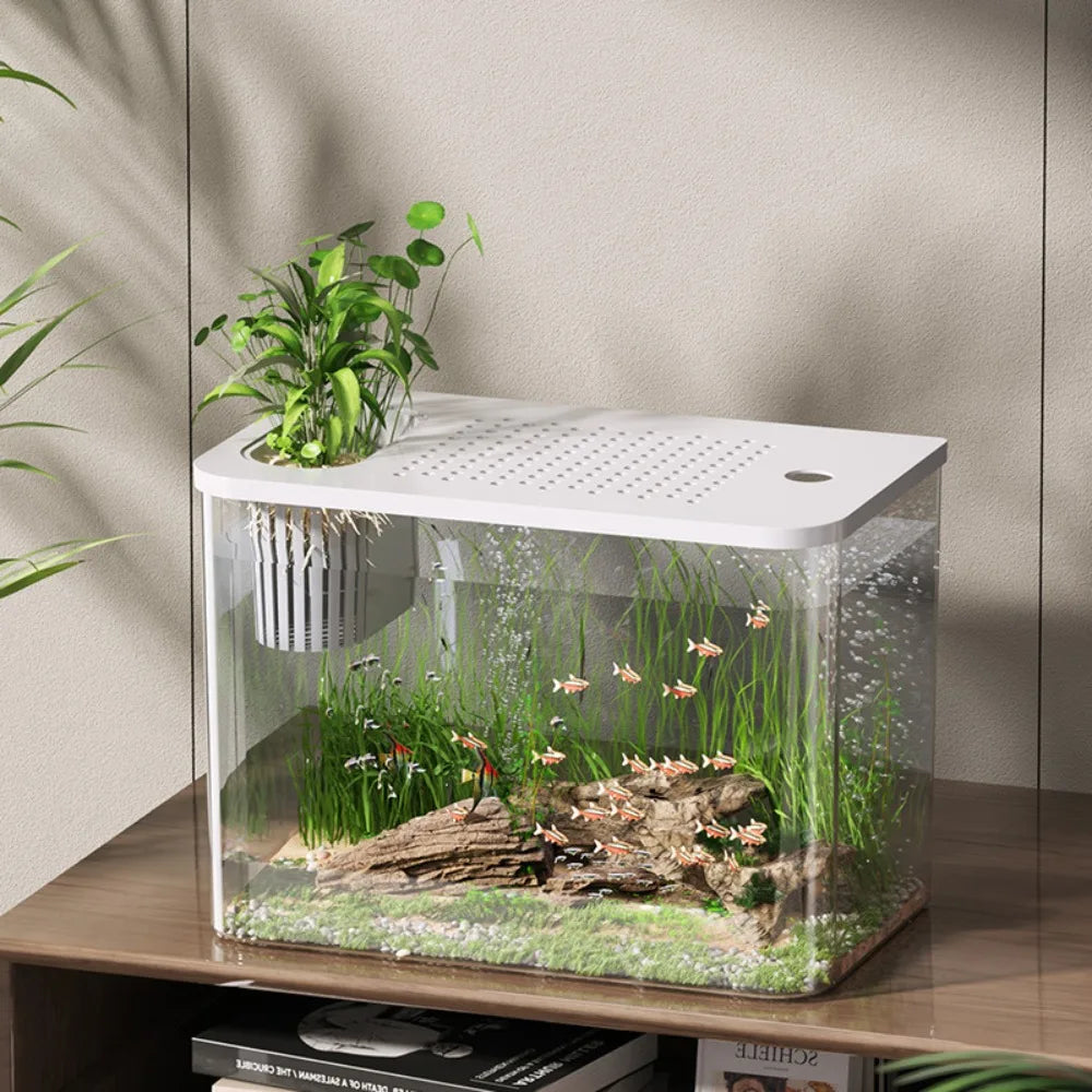 Hign-Concerned Pet ABS Transparent Aquarium With Lid Tank