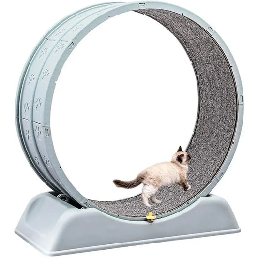Alma's Pet Supplies Cat Exercise Wheel Indoor Fitness