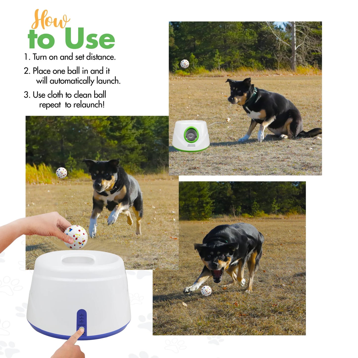 MeowMeowsChoice Automatic Ball Launcher Small Medium Dogs