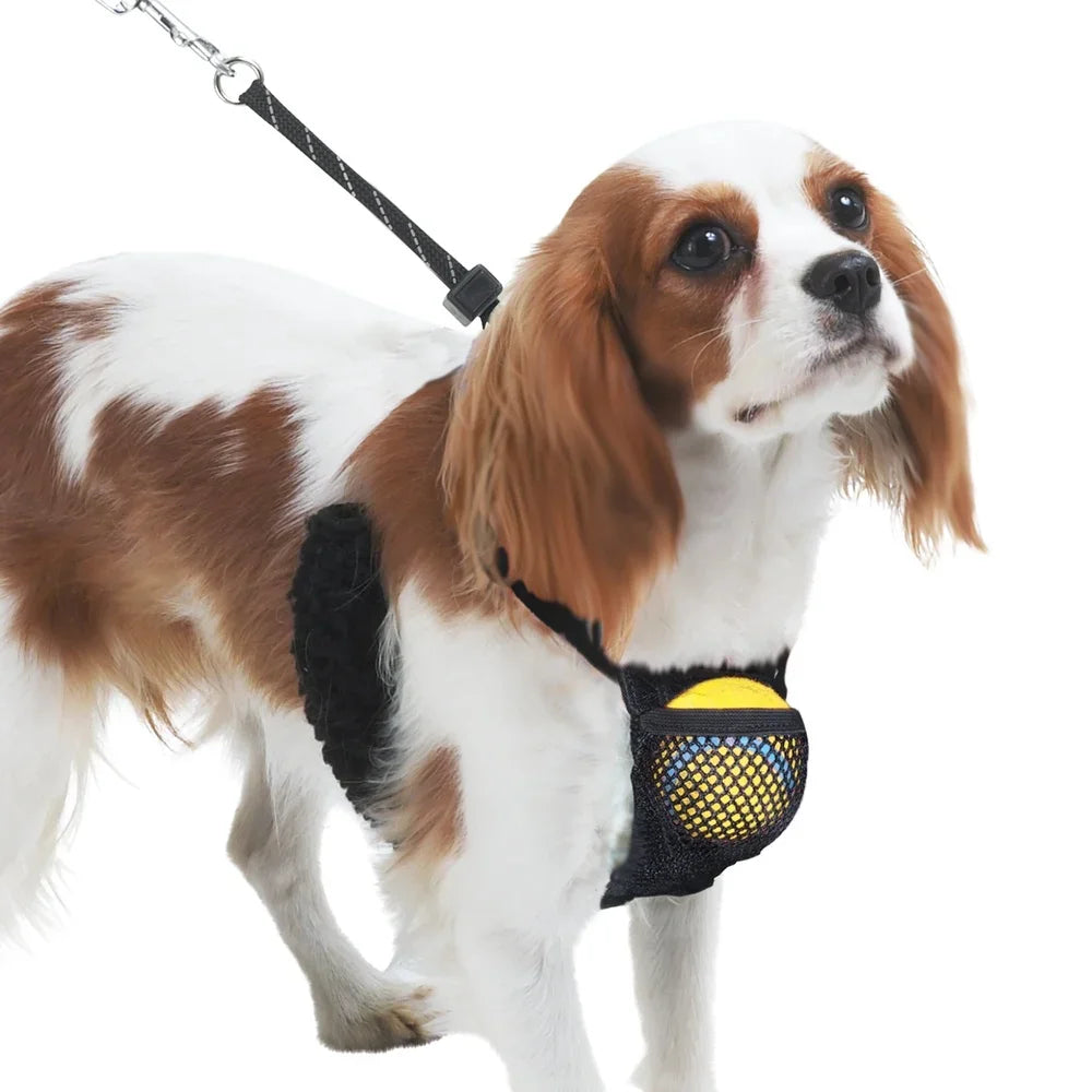 Alma's Pet Supplies Non Pulling Harness With Storage Pouch