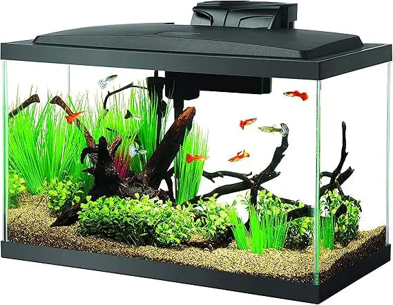 TIFICY LED Aquarium Starter Kit With Lighting System