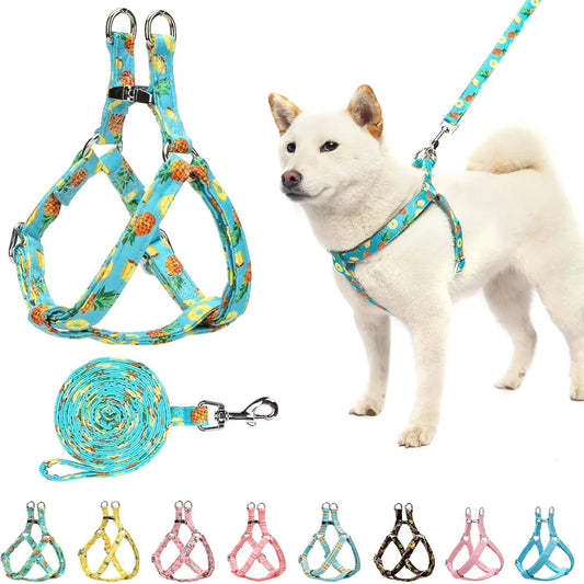 Adjustable No Pull Harness and Leash Set for Dogs