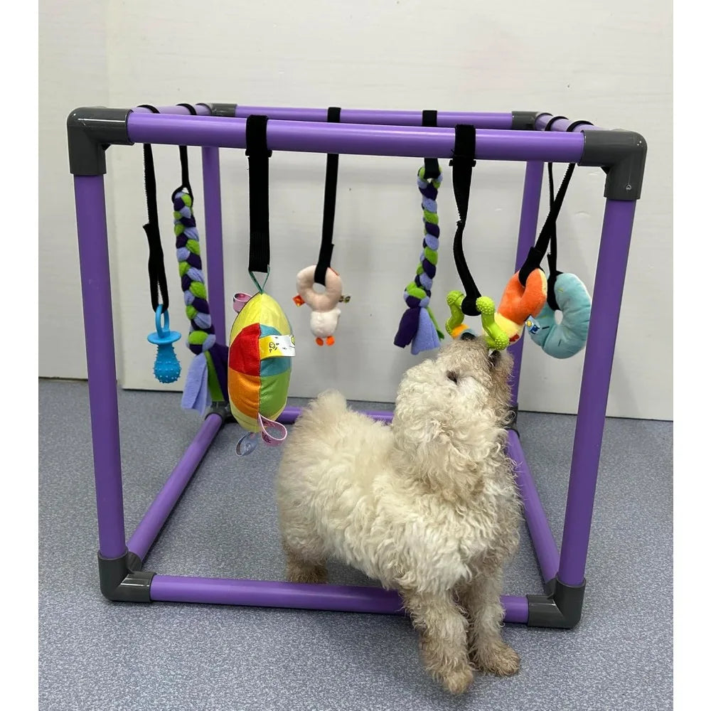Hign Concerned Puppy Play Gym For Dogs With 8 Hanging Toys