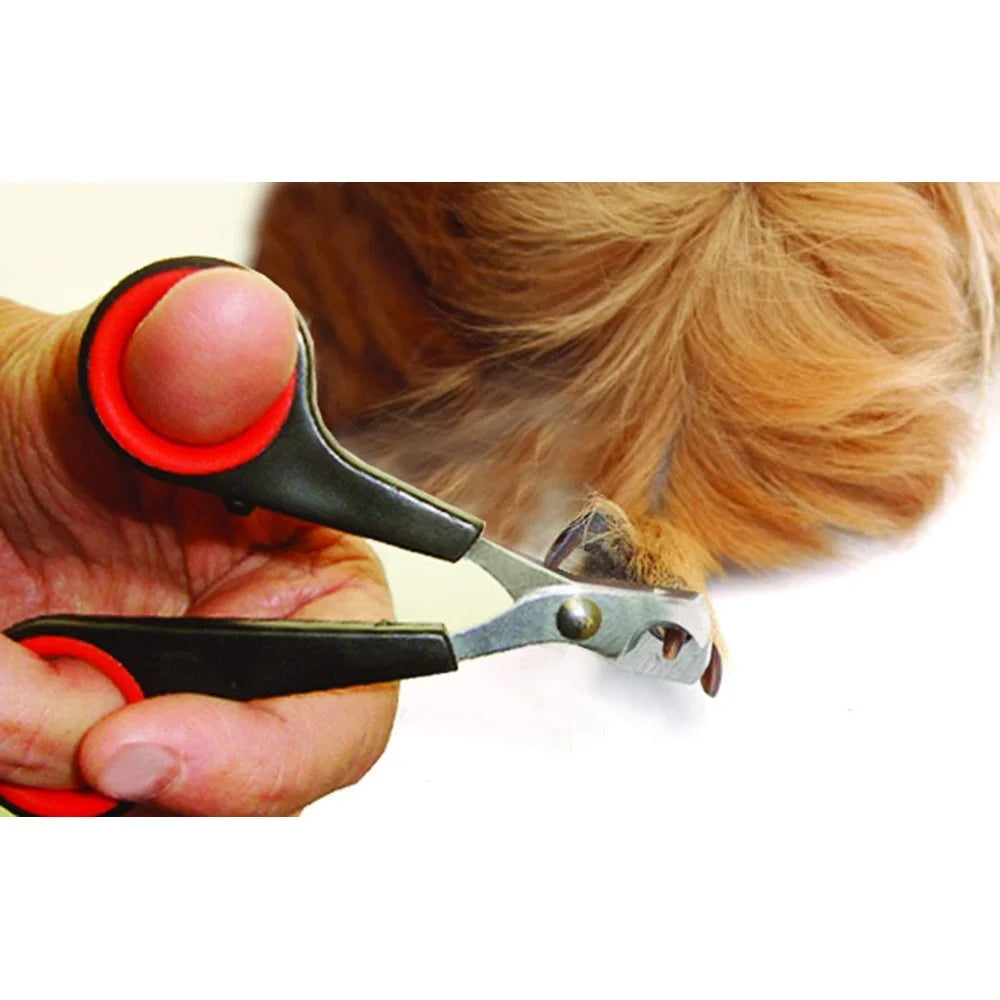 Dutrieux Small Animal Grooming Set Nail Clippers Brush Kit