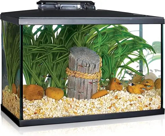 TIFICY Beginner LED Aquarium Kit for New Fish Enthusiasts