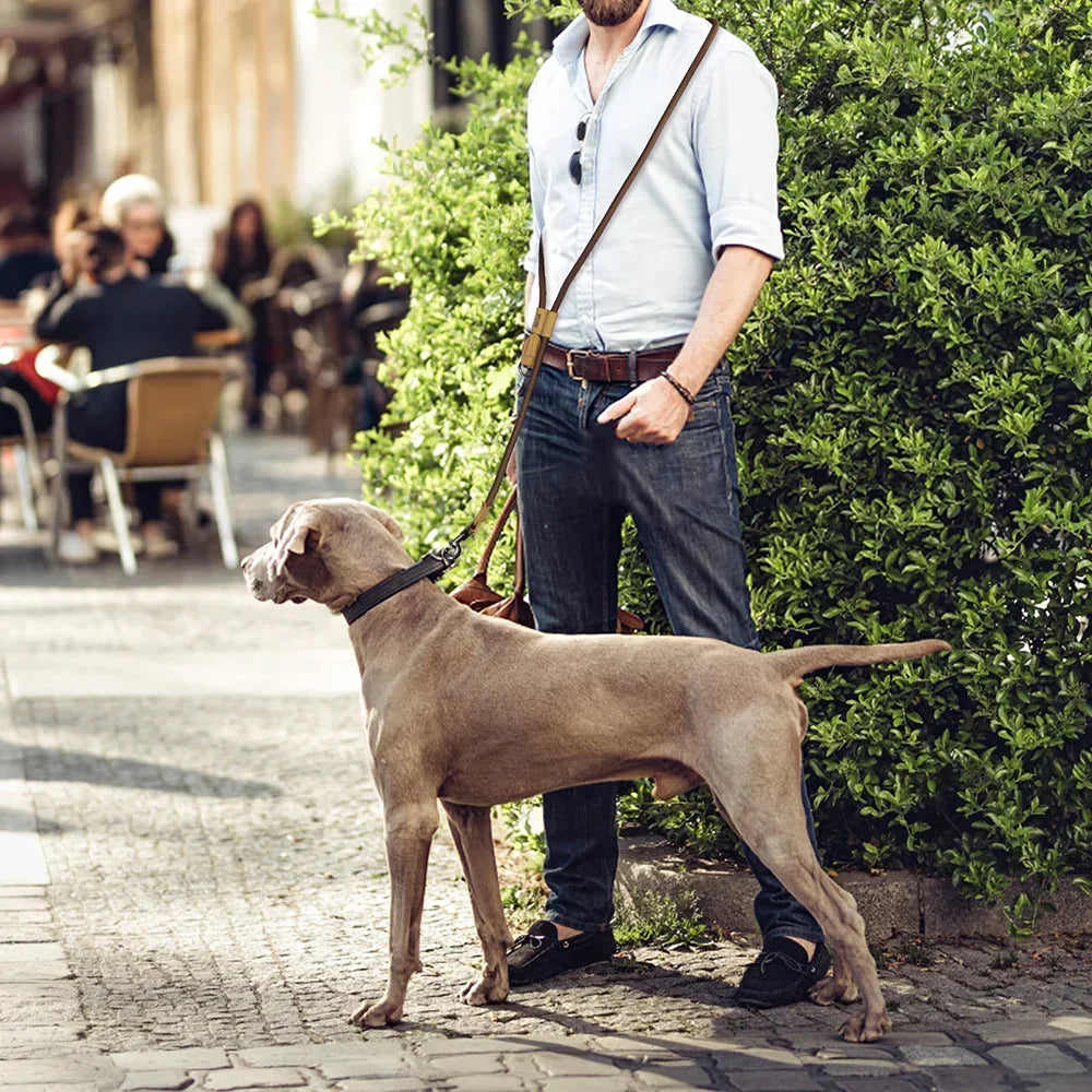 Hands Free Dog Leash for Running and Walking Comfortably