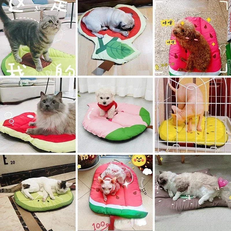Guangdong Dog Mat Cooling Pad Breathable Summer Bed For Pets