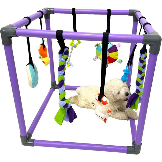 Hign Concerned Puppy Play Gym For Dogs With 8 Hanging Toys