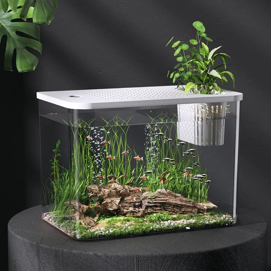 Hign-Concerned Pet ABS Transparent Aquarium With Lid Tank