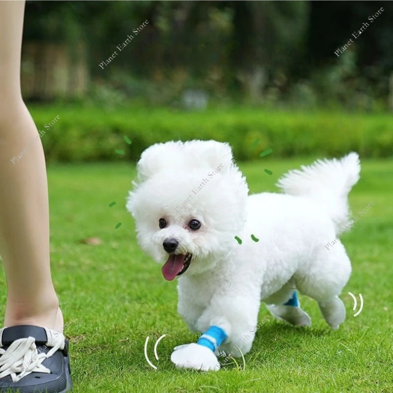 CN Zhejiang Disposable Pet Shoe Covers Waterproof Non Slip