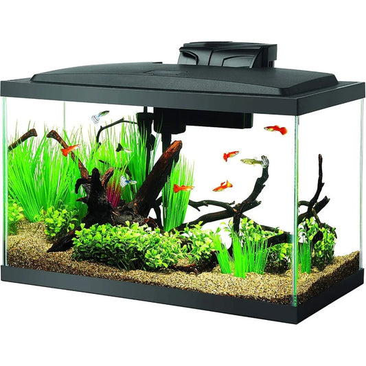 TIFICY LED Aquarium Starter Kit With Lighting System