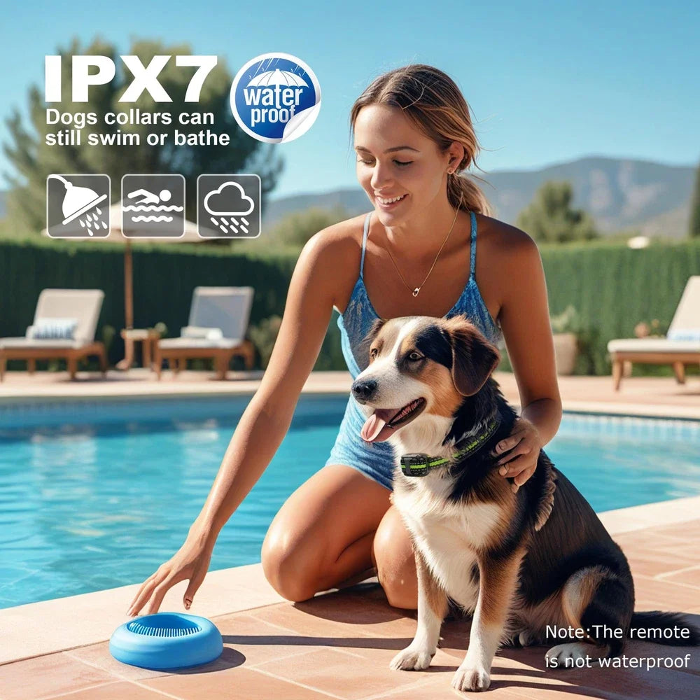 Hign Concerned Chemical Dog Training Collar Remote Shock