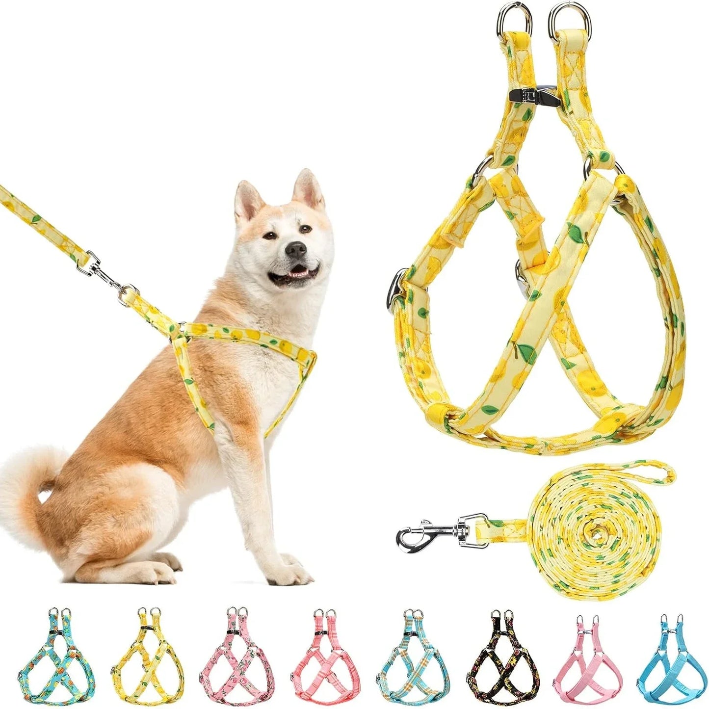 Adjustable No Pull Harness and Leash Set for Dogs