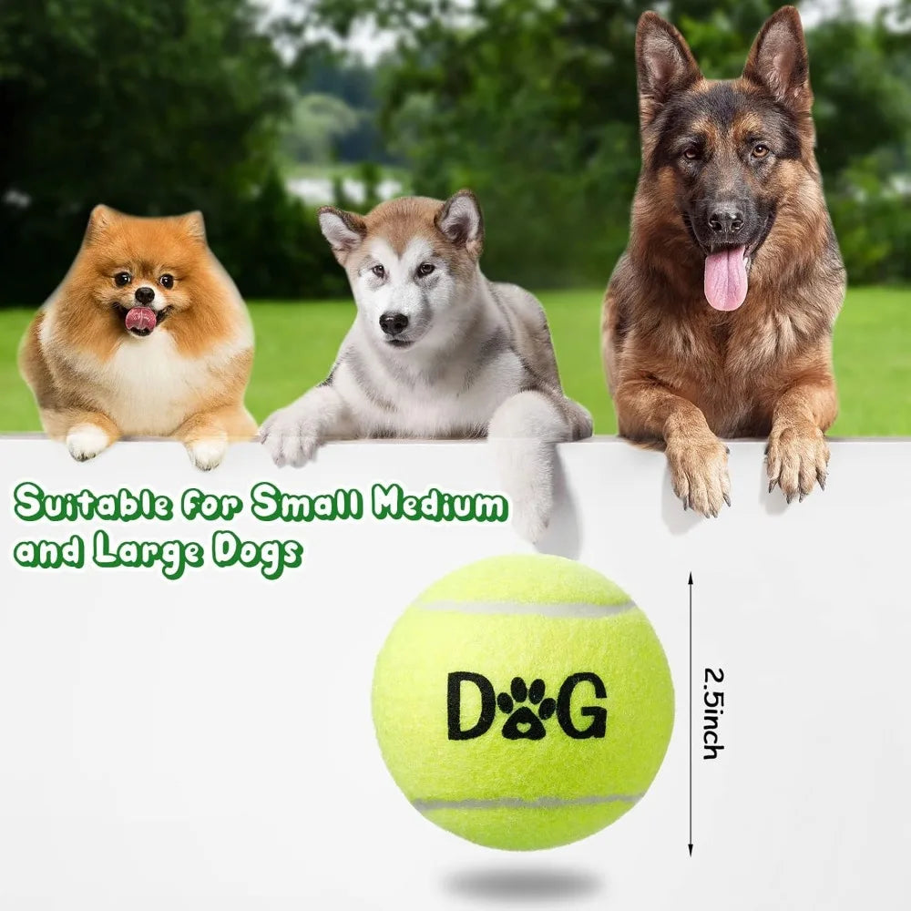 40 Pack Tennis Balls Dog Toys With Carry Bags For Fetch