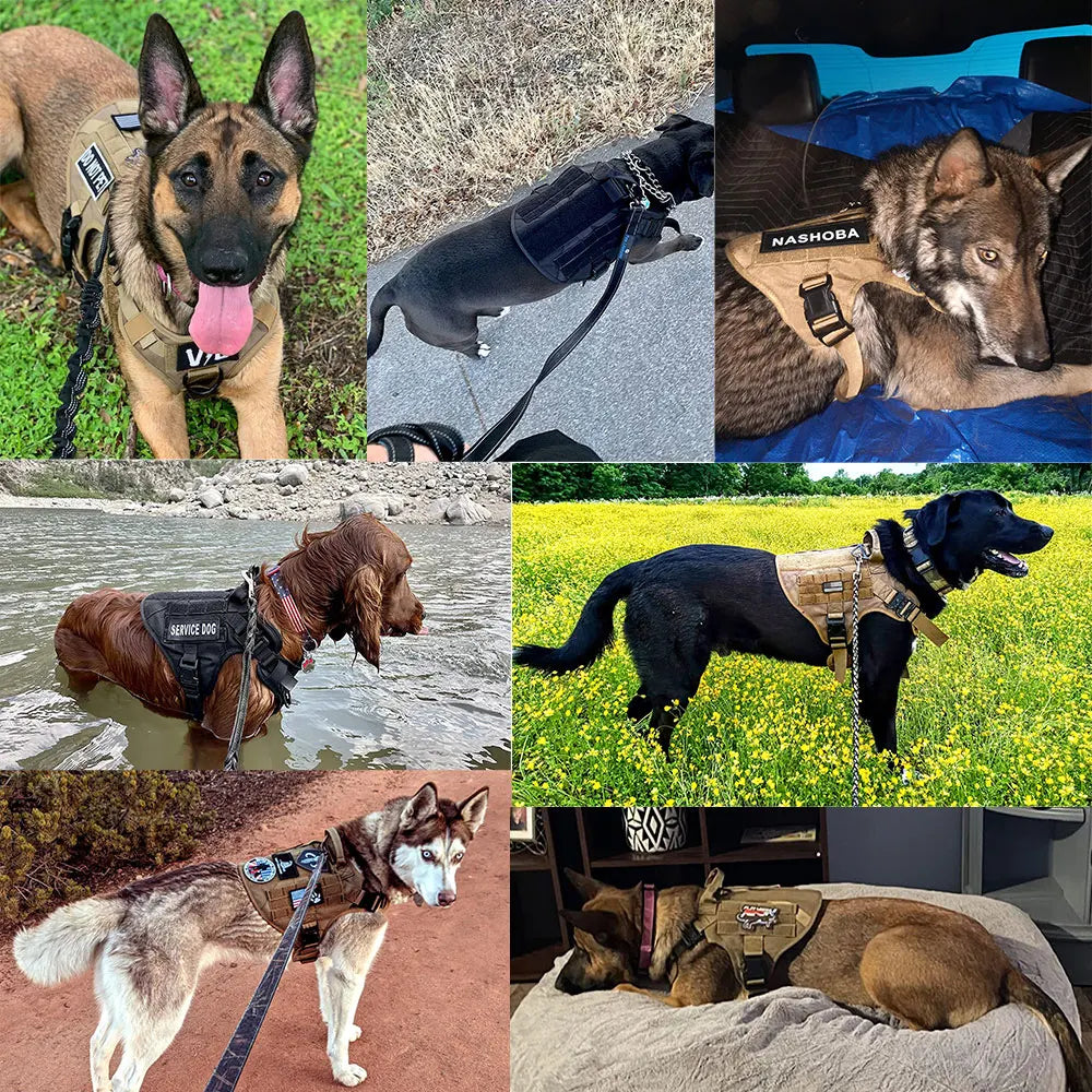 Tactical Dog Harness and Leash Set for Training and Outdoor