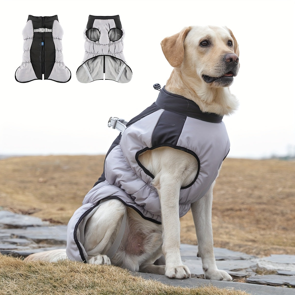 Windproof Dog Winter Jacket With Zipper Closure And Adjustable Strap