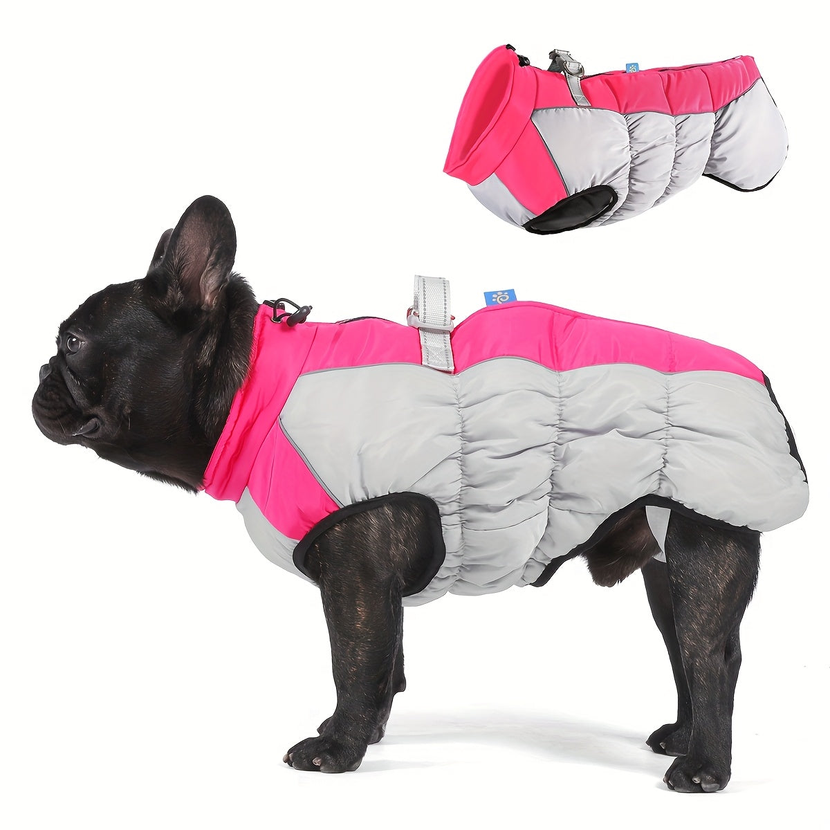 Windproof Dog Winter Jacket With Zipper Closure And Adjustable Strap