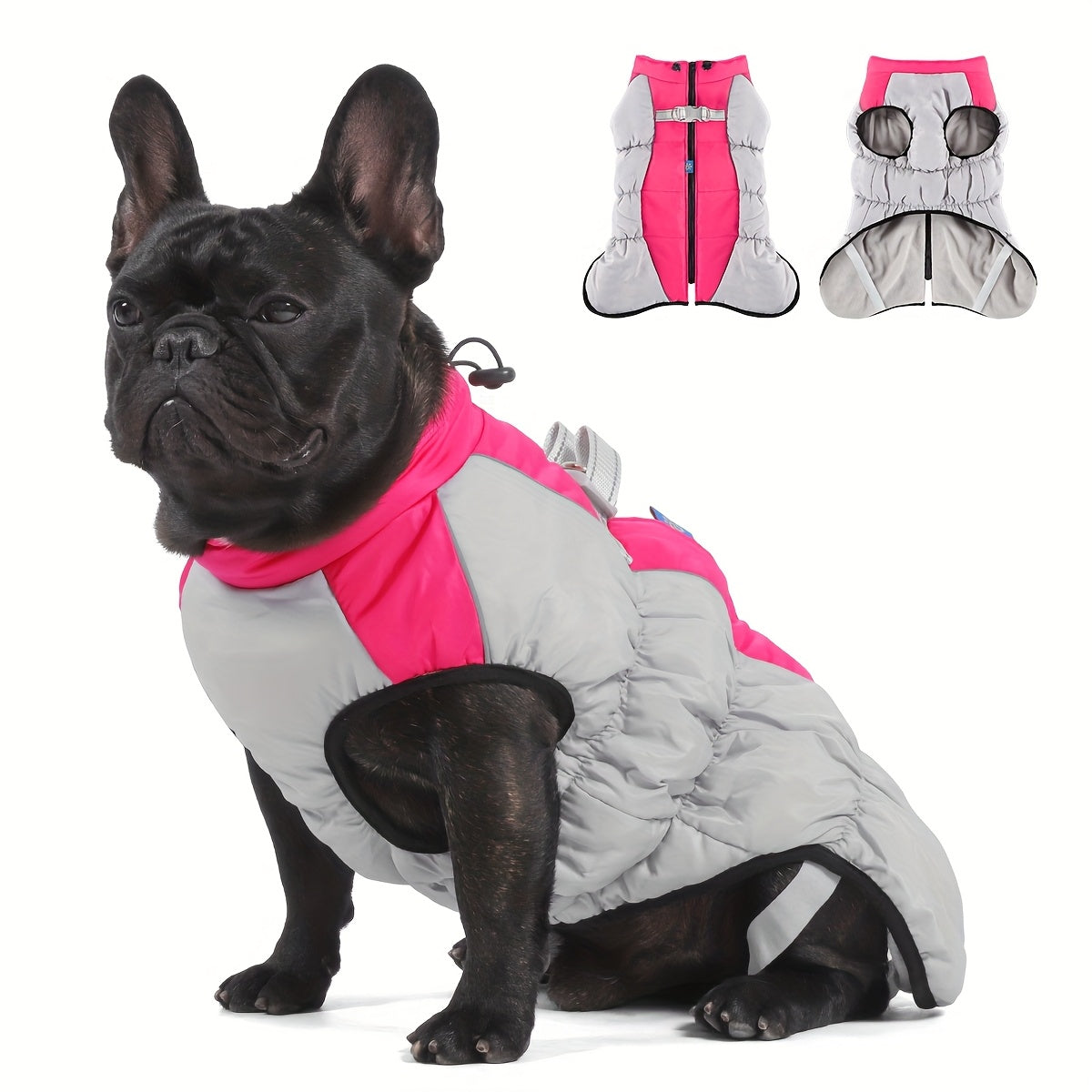 Windproof Dog Winter Jacket With Zipper Closure And Adjustable Strap